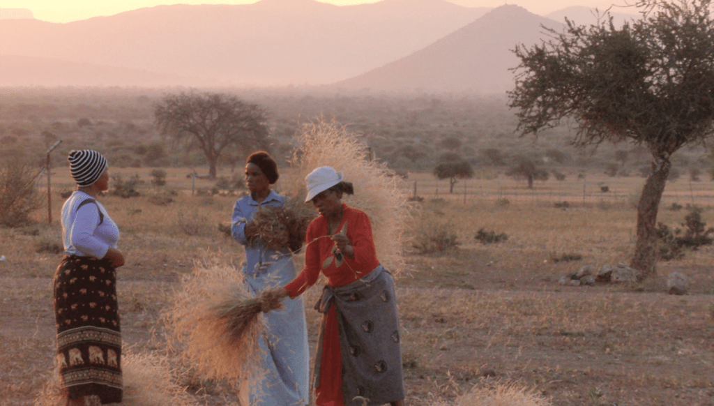 Women gather grass for hand-sewn rugs in Phoshiri Village, Limpopo Province, South Africa. Photo by Andrew Bernish, courtesy of Photoshare.