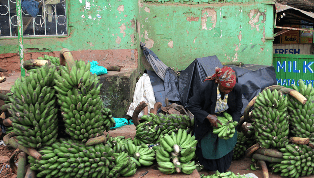 Selling bananas in Kampala, Uganda. Photo by the Trust for Africa's Orphans, courtesy of Flickr Creative Commons.  