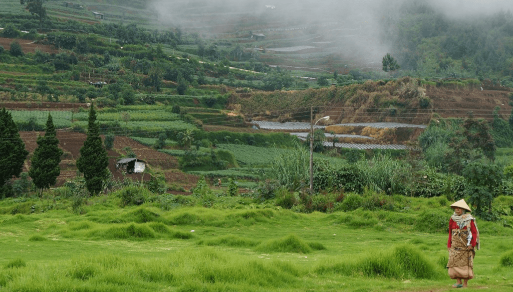 A rural area in Indonesia. Photo by Ikasari Widiyanto, courtesy of Photoshare.