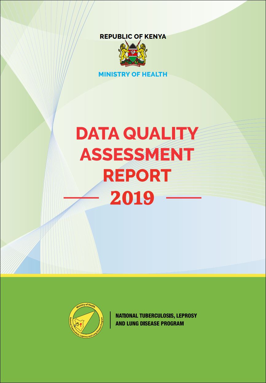 Data Quality Audit Report