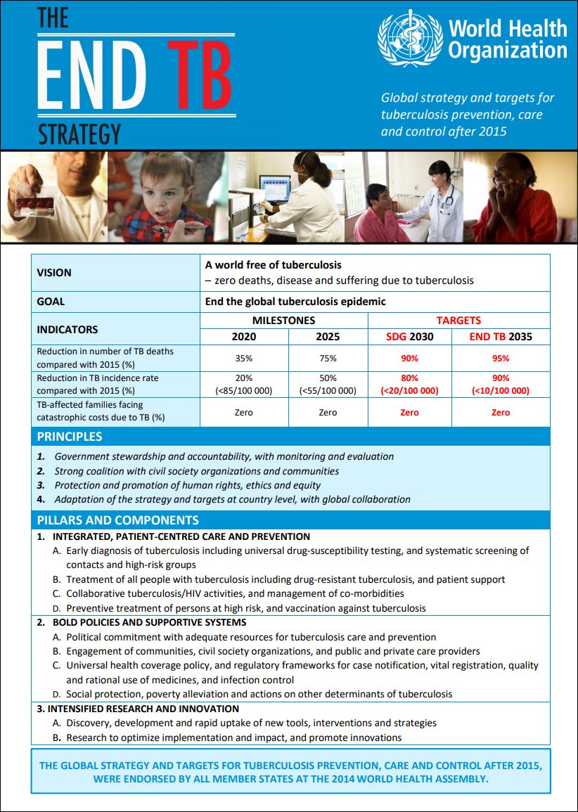 The End TB Strategy
