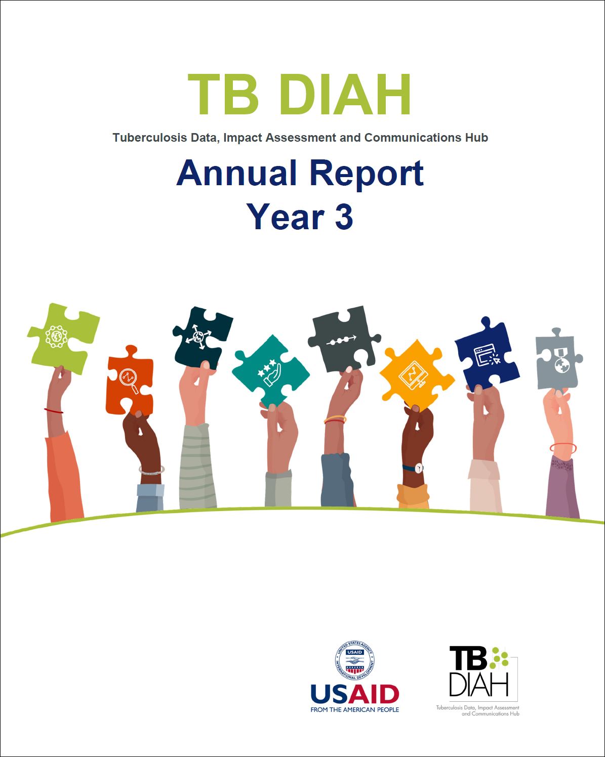 TB DIAH Annual Report: Year 3